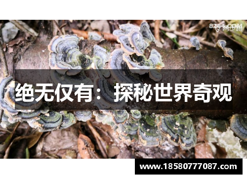 绝无仅有：探秘世界奇观